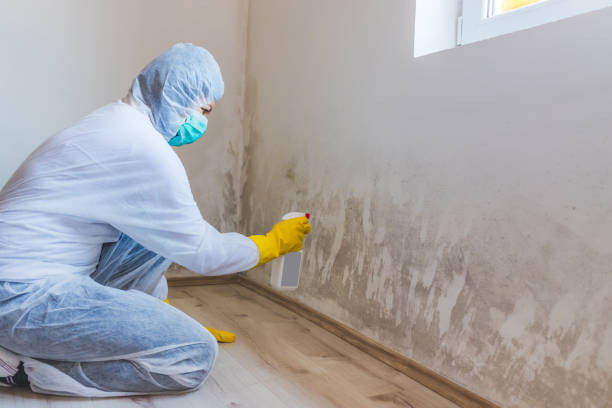 Licensed Commercial Mold Remediation service in Grampian, PA - WQB Mold Removal