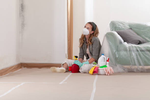 Reliable Commercial Mold Remediation contractor in Grampian, PA by WQB Mold Removal